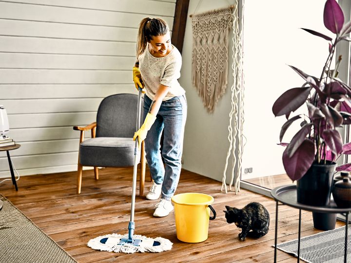 house cleaning services ormond beach